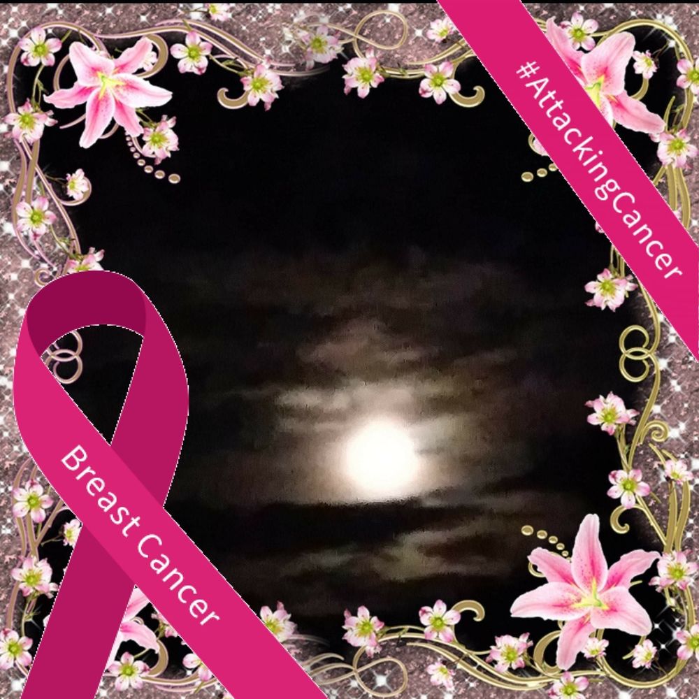 Meet your Posher, Diane